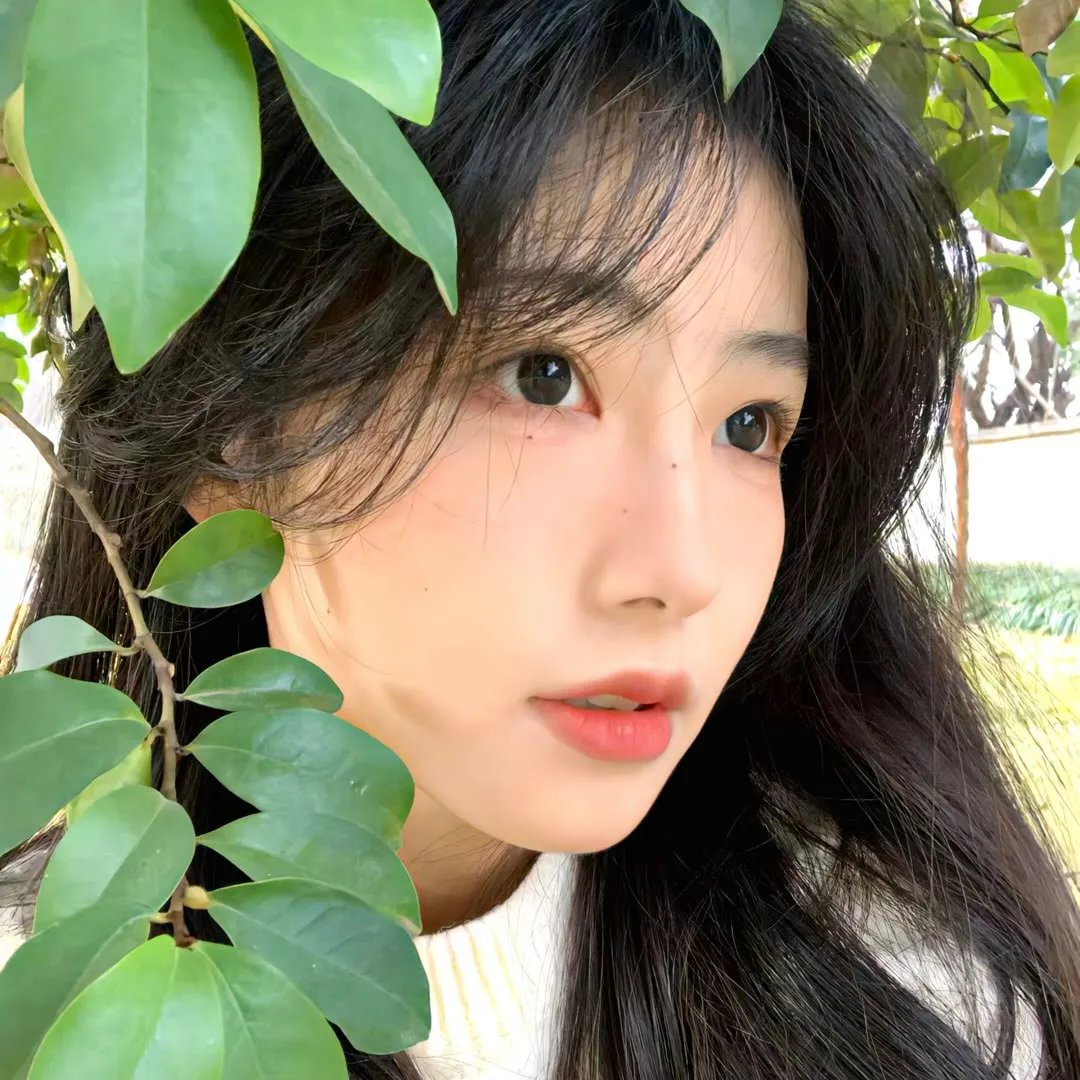 飞奔的高卓人